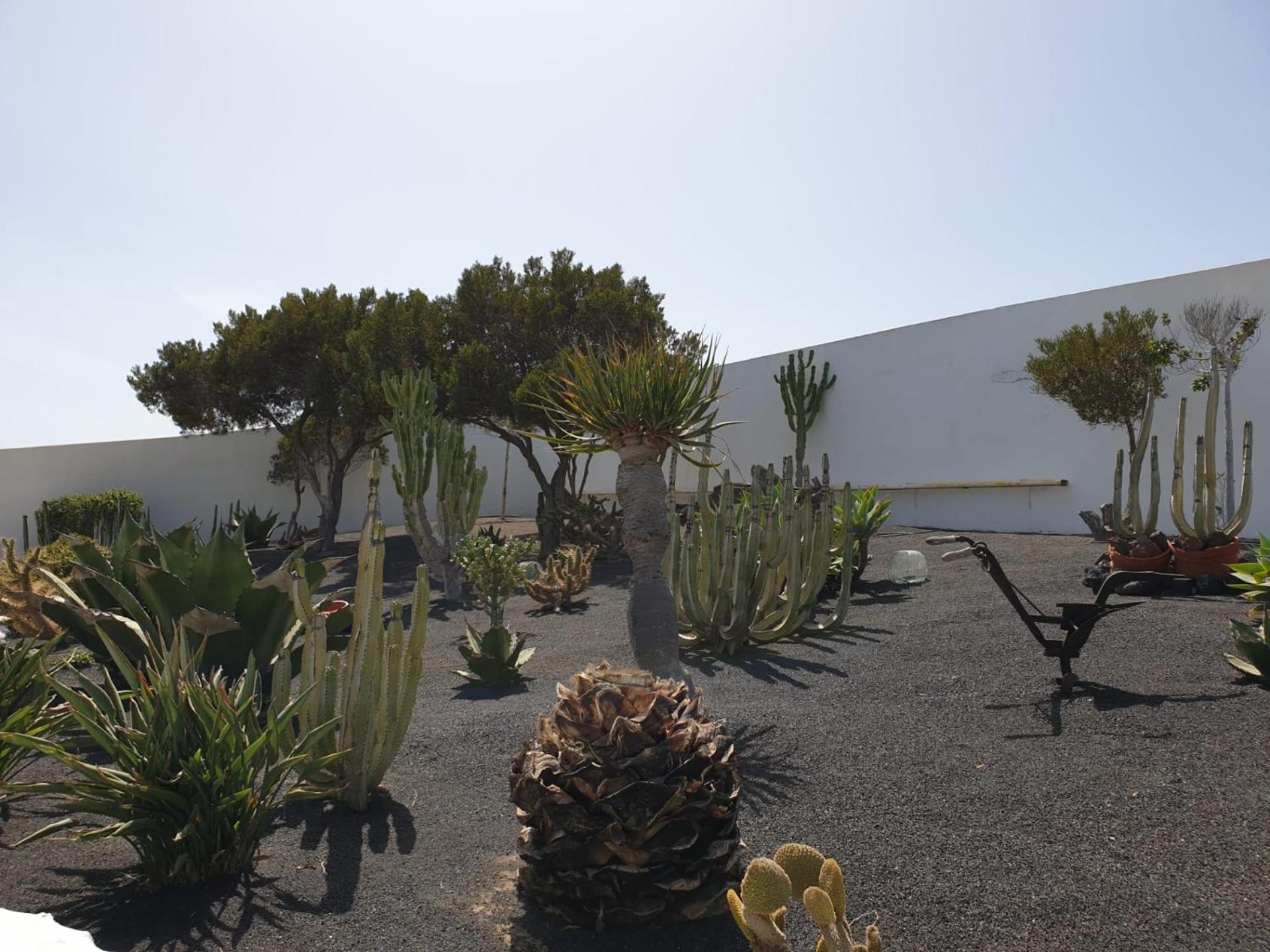 Casa Berriel 2 Villa Tías Eksteriør billede