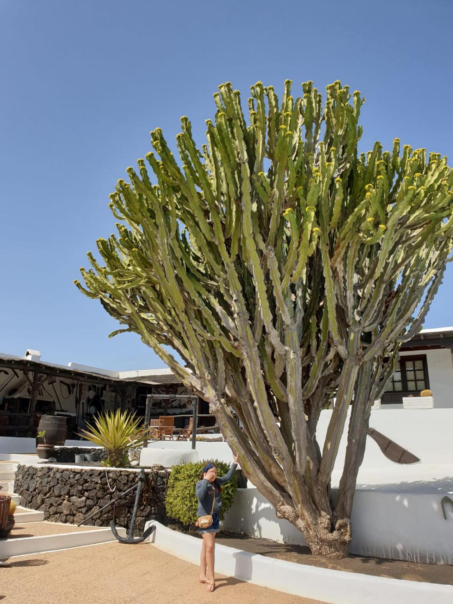 Casa Berriel 2 Villa Tías Eksteriør billede